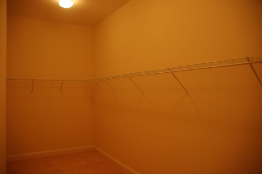 Executive Home in Durbin Crossing property image