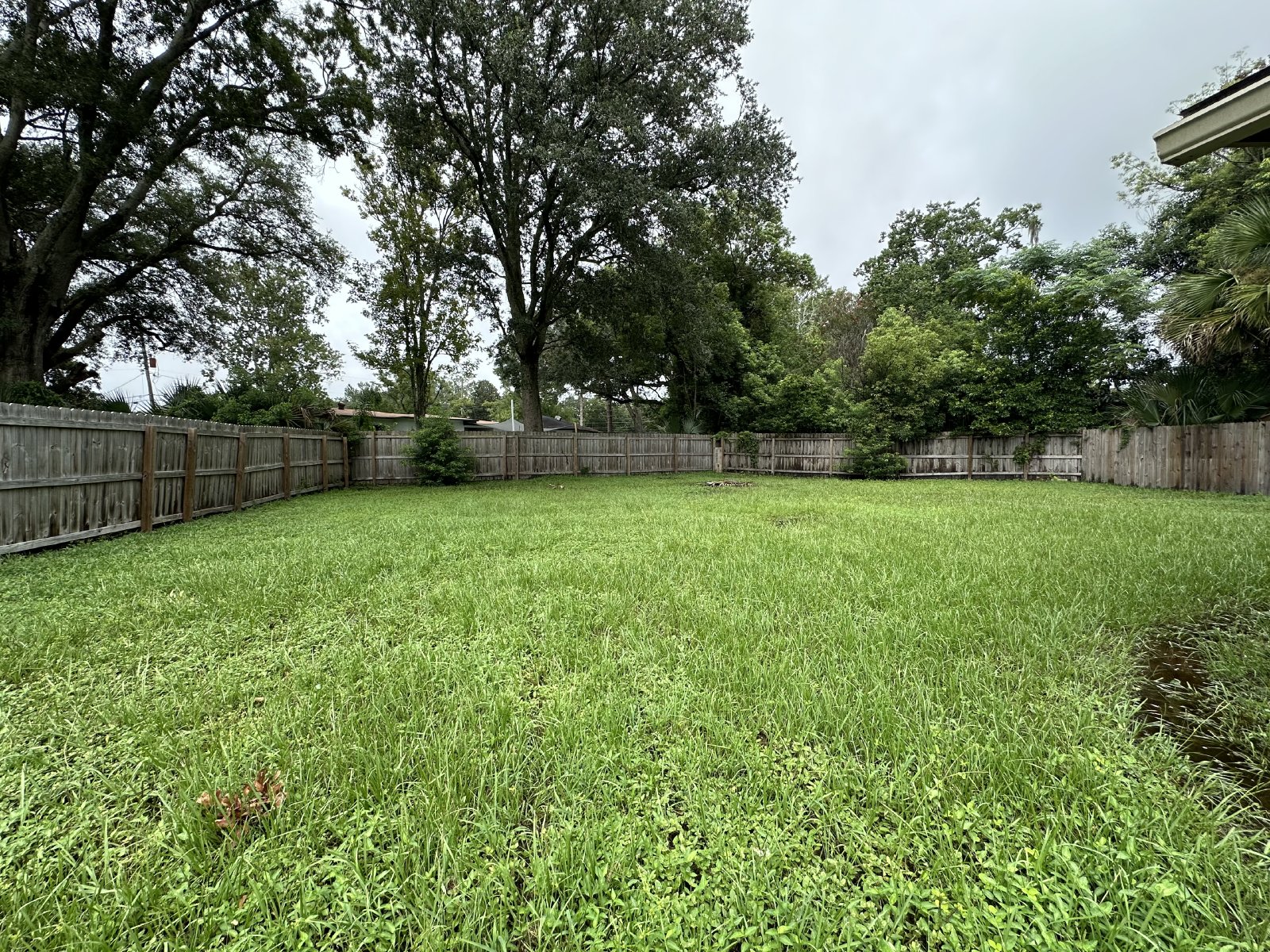 Cute Bungalow in San Jose Area property image
