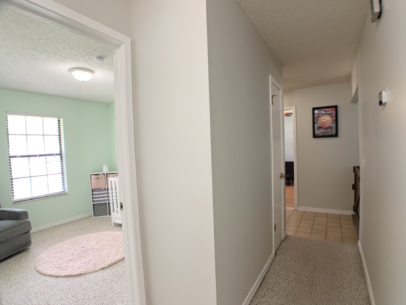 Large Lot in Orange Park property image