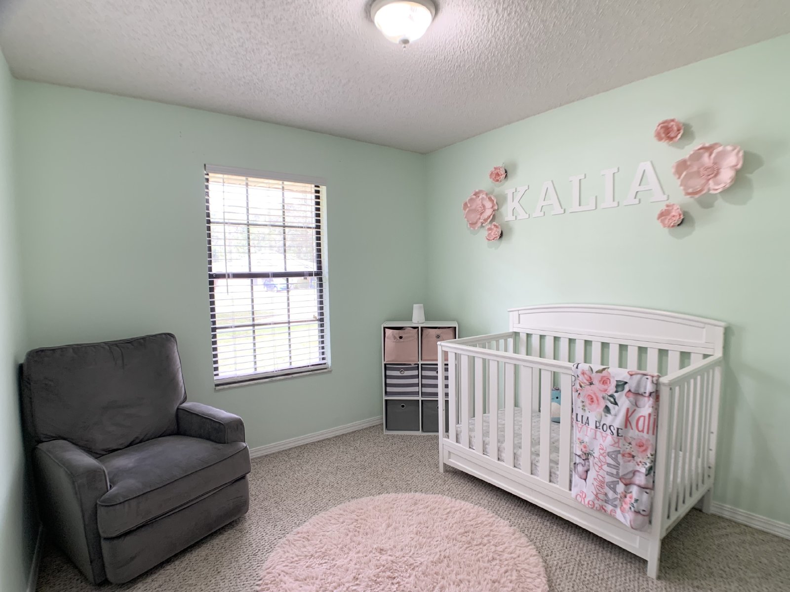 Large Lot in Orange Park property image