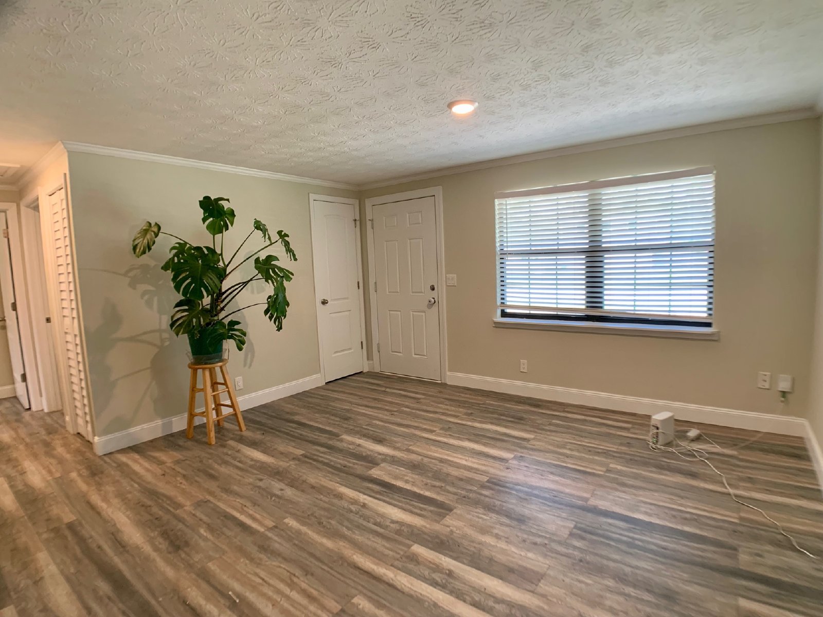 Charming Home in Orange Park property image