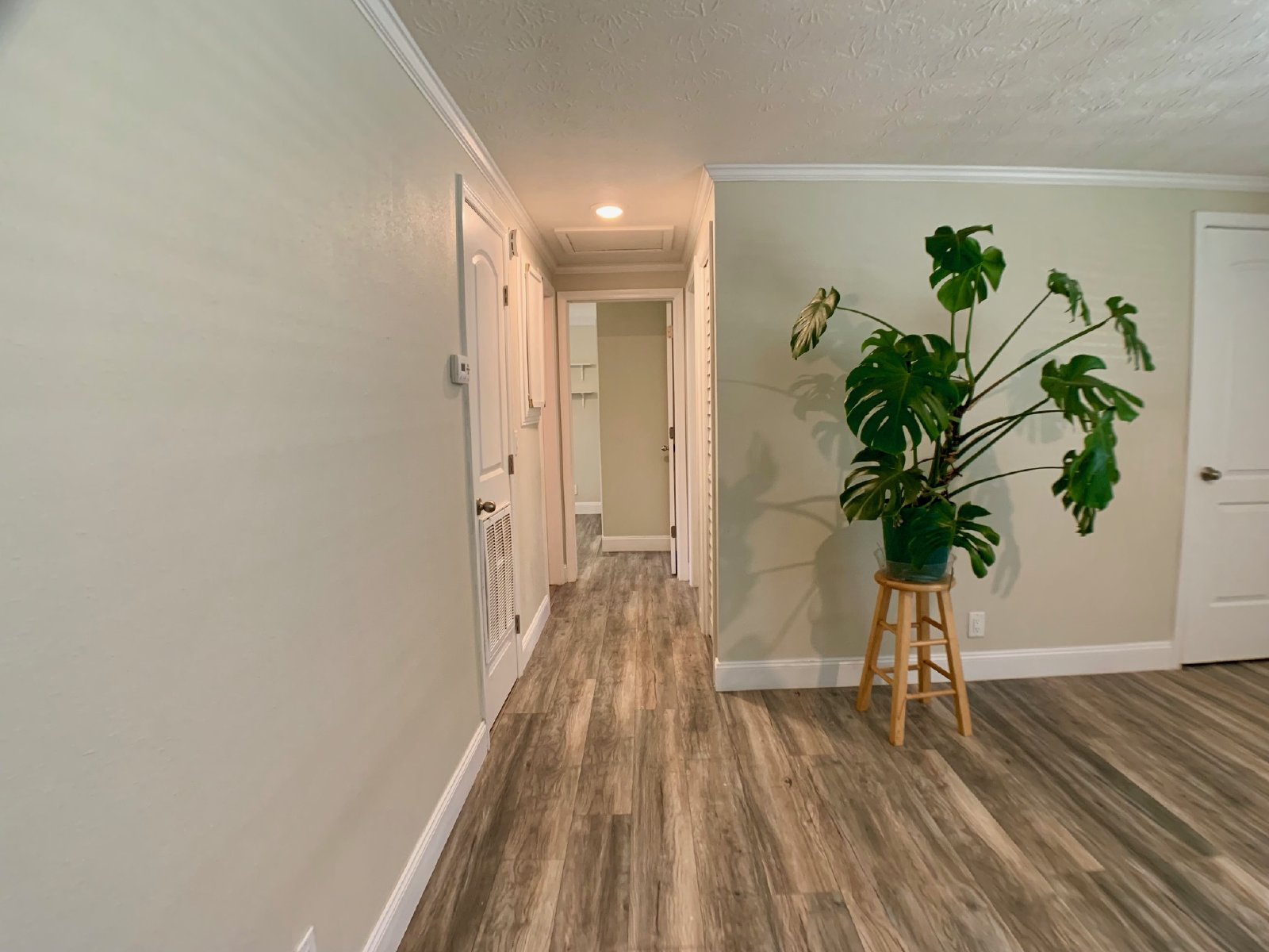 Charming Home in Orange Park property image
