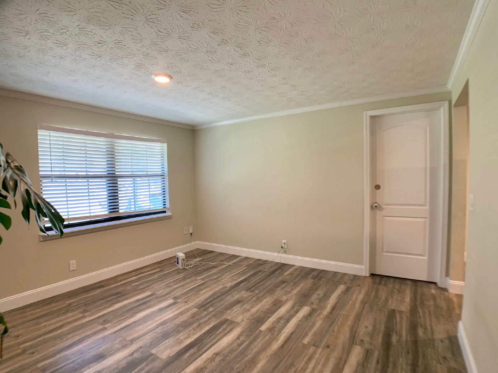 Charming Home in Orange Park property image