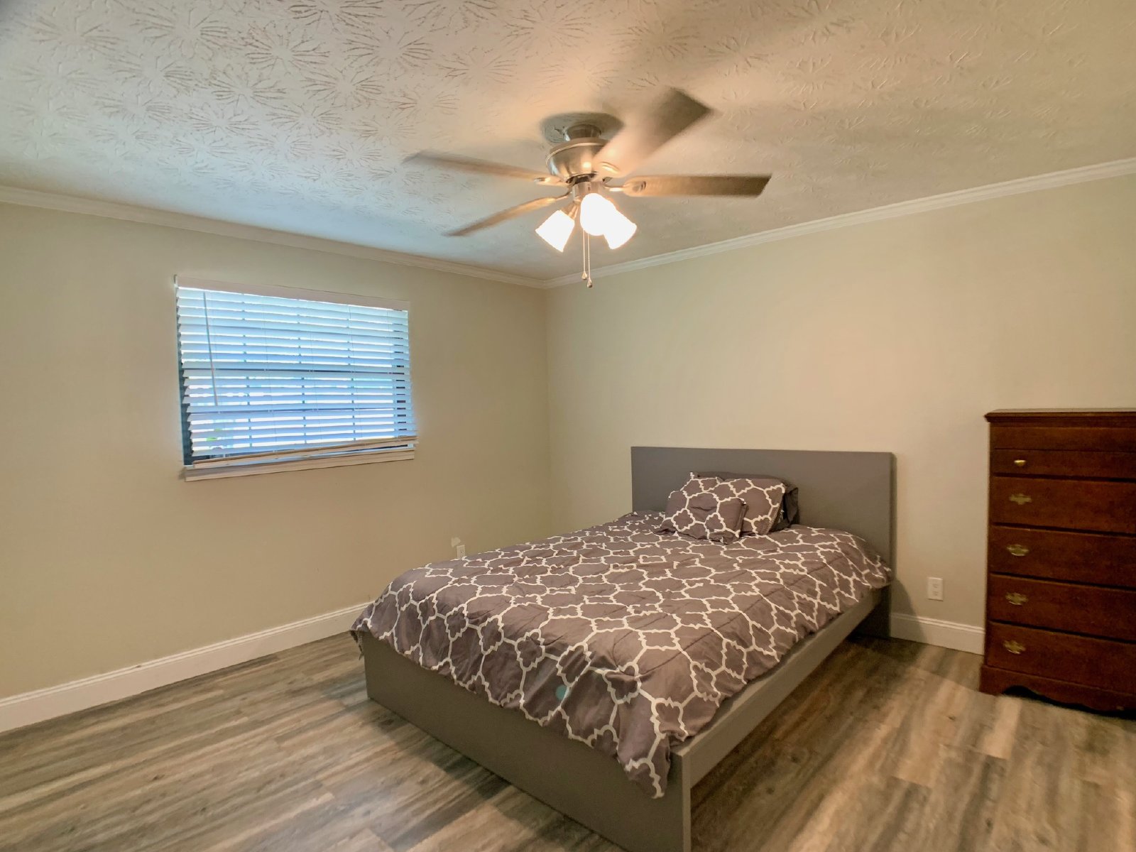 Charming Home in Orange Park property image