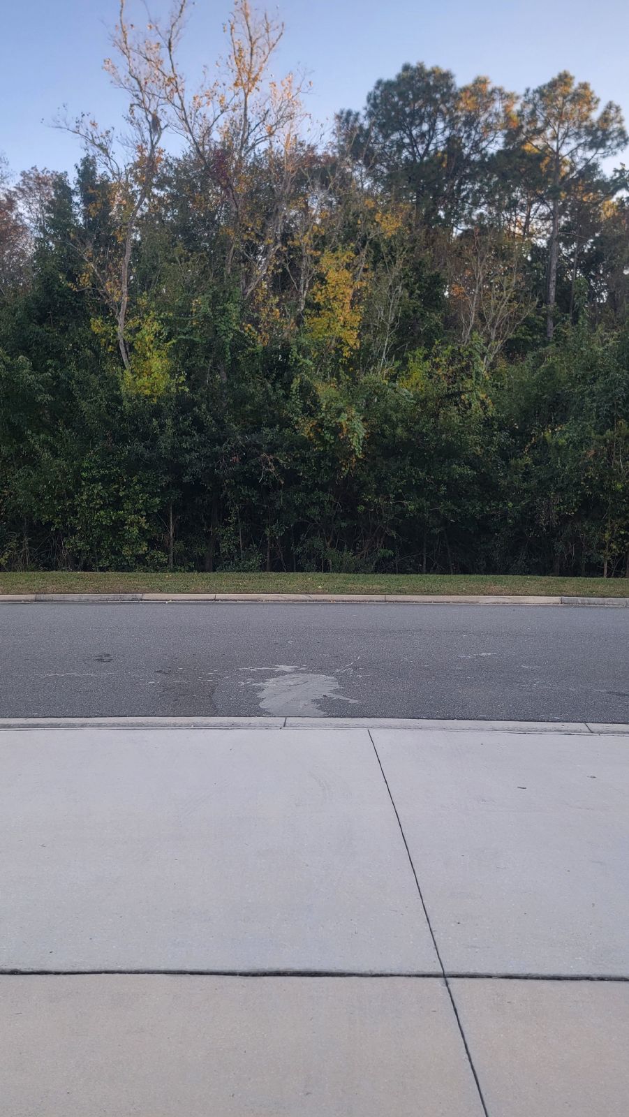 6413 Timber Cove Court, 32218 property image