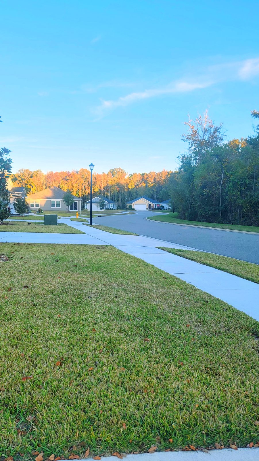 6413 Timber Cove Court, 32218 property image