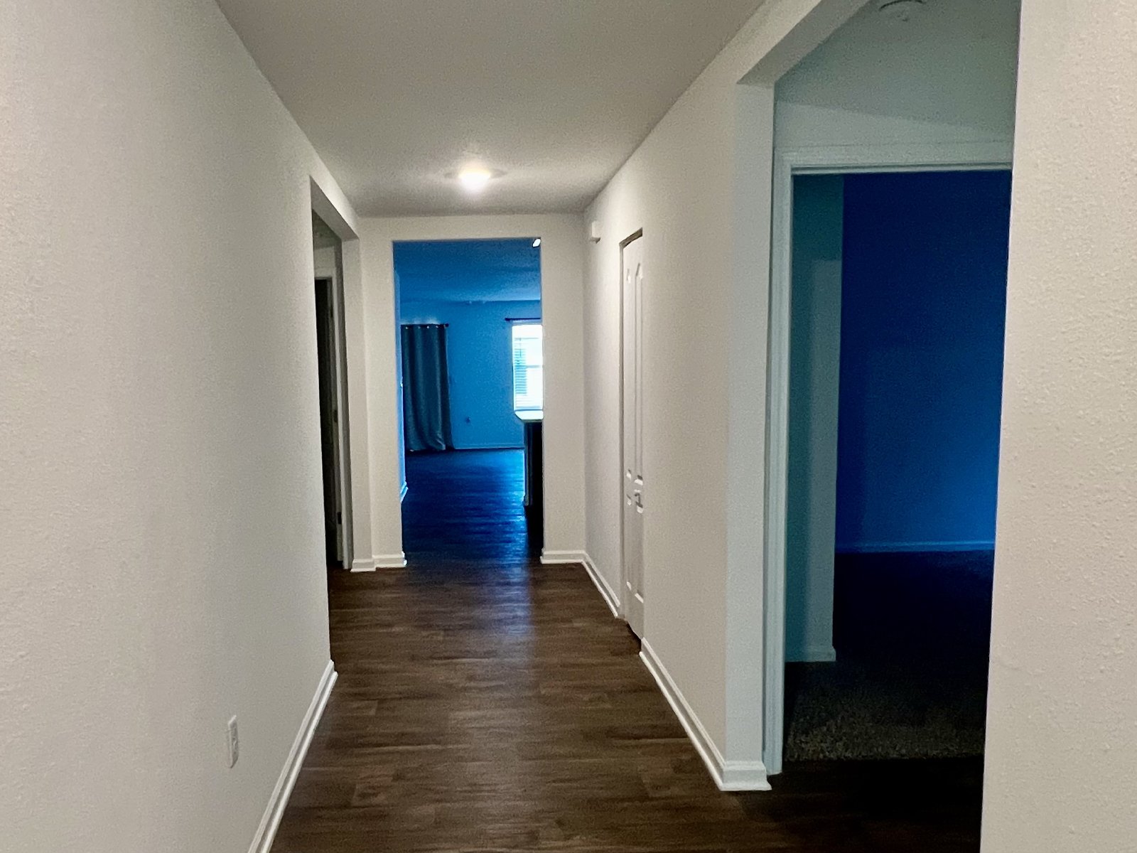 Modern 4 Bedroom Home with Exceptional Amenities! property image