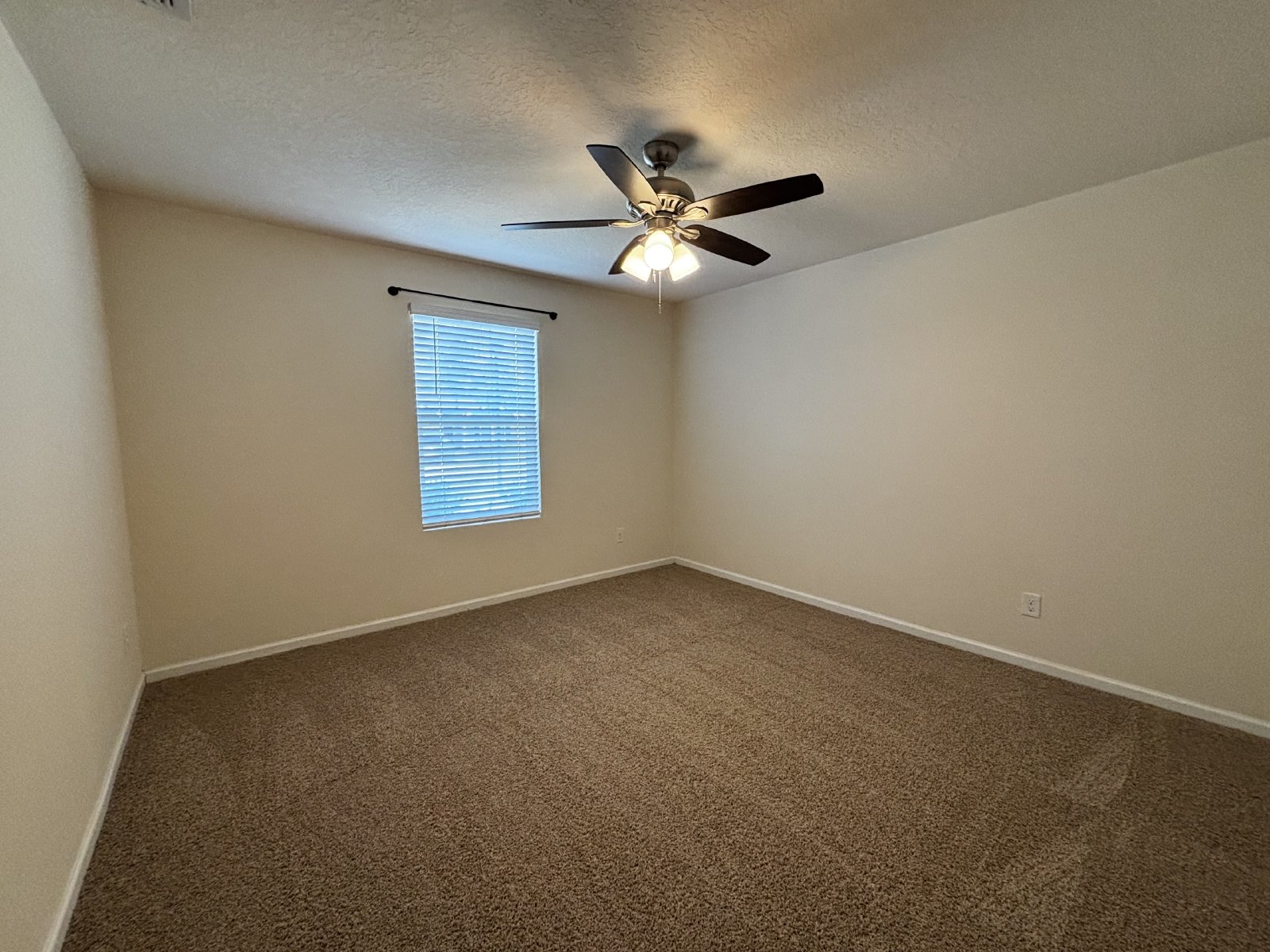 Hidden Gem, New Carpet property image