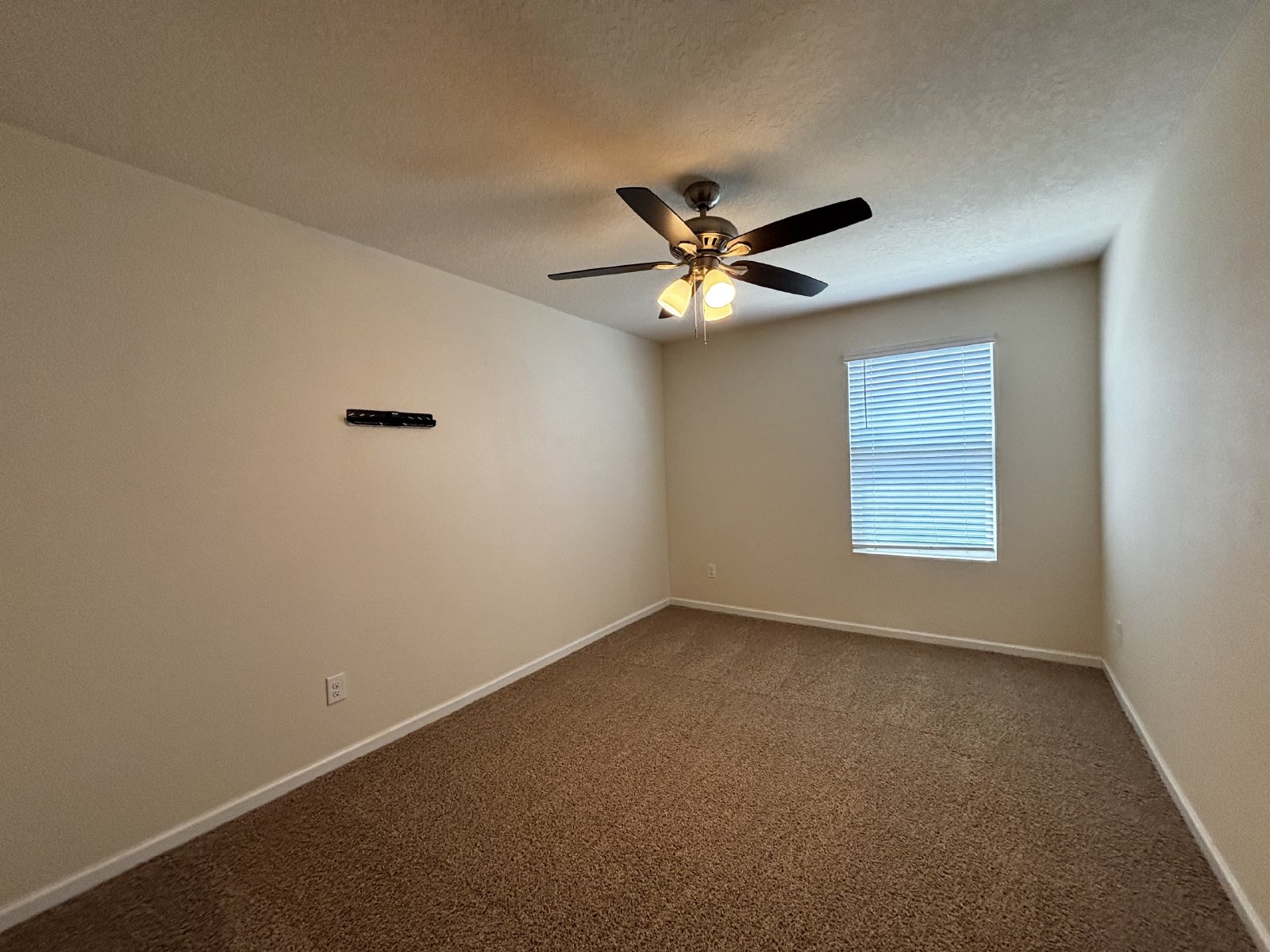 Hidden Gem, New Carpet property image