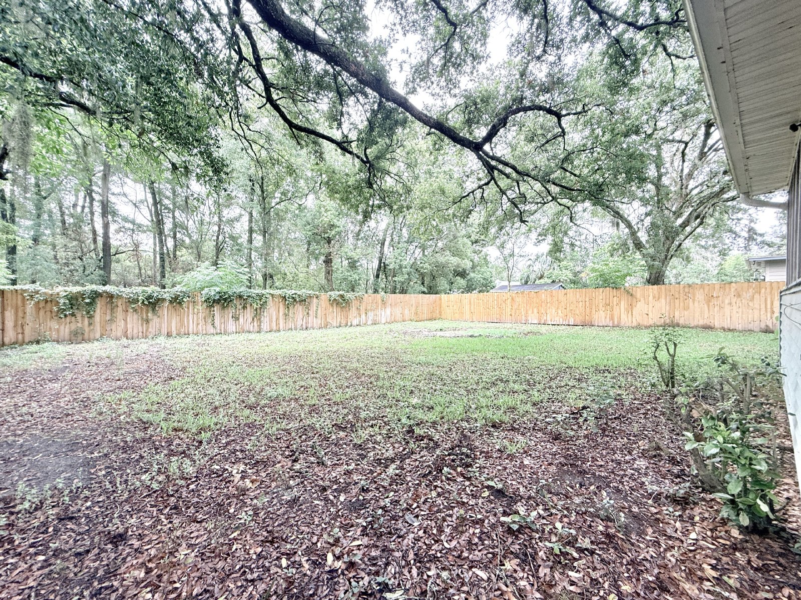 Charming 3BR Home with Modern Updated & Huge Fenced Yard property image