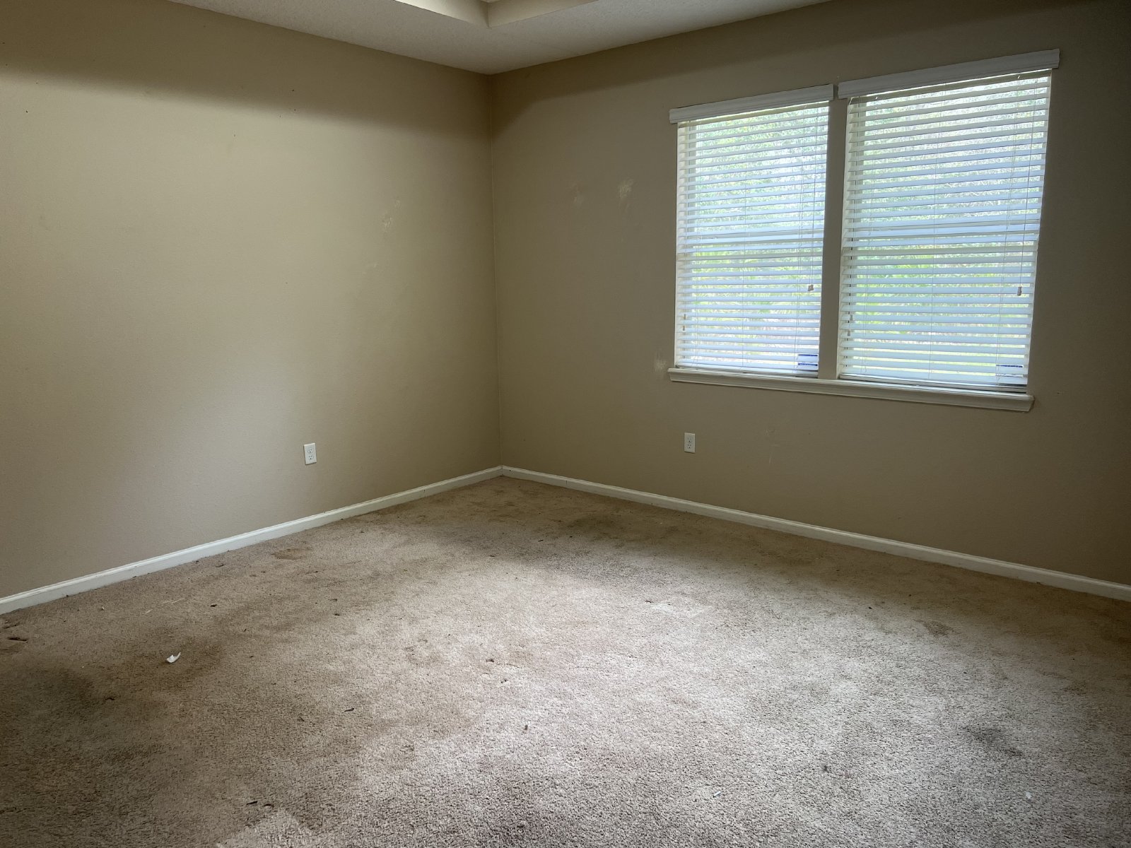 Large 3 bedroom with separate office space property image