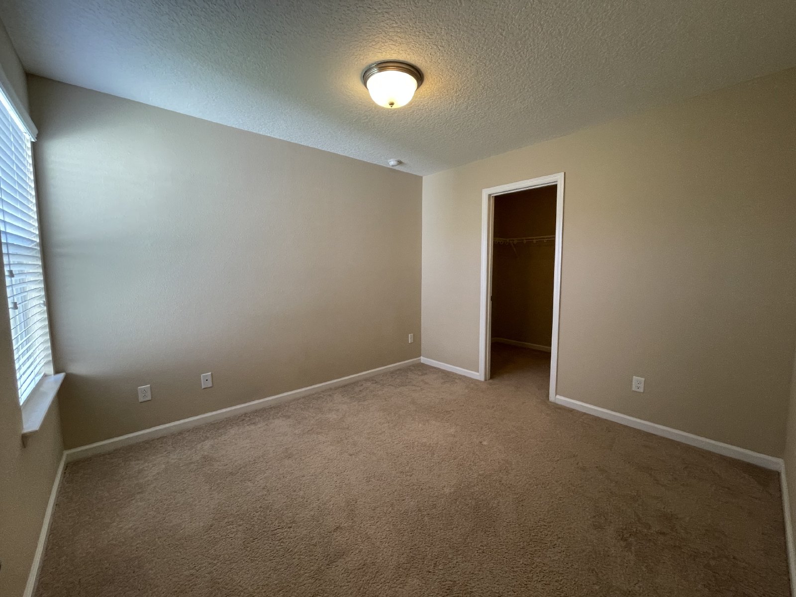 Executive Home in St Johns property image