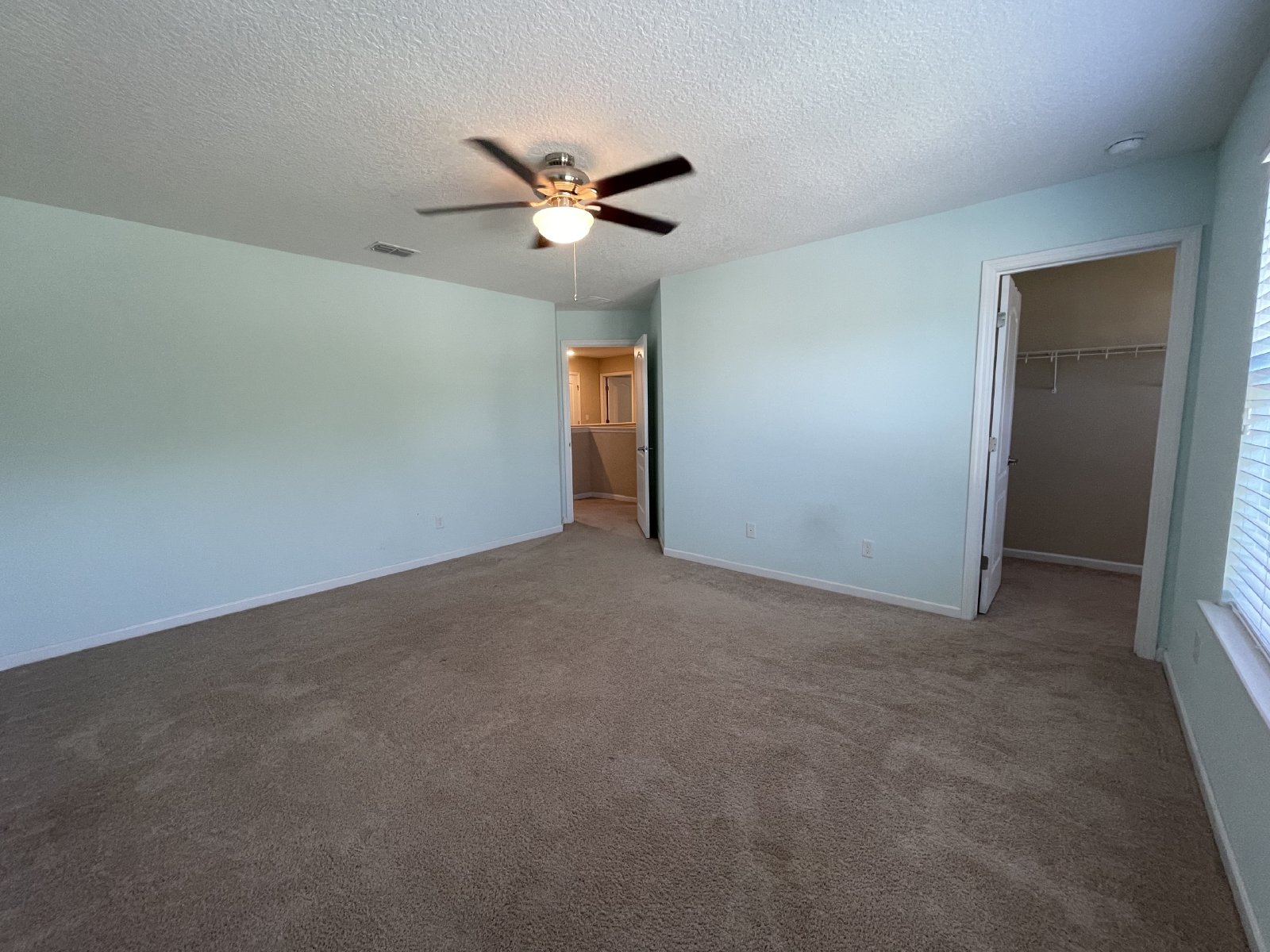 Executive Home in St Johns property image