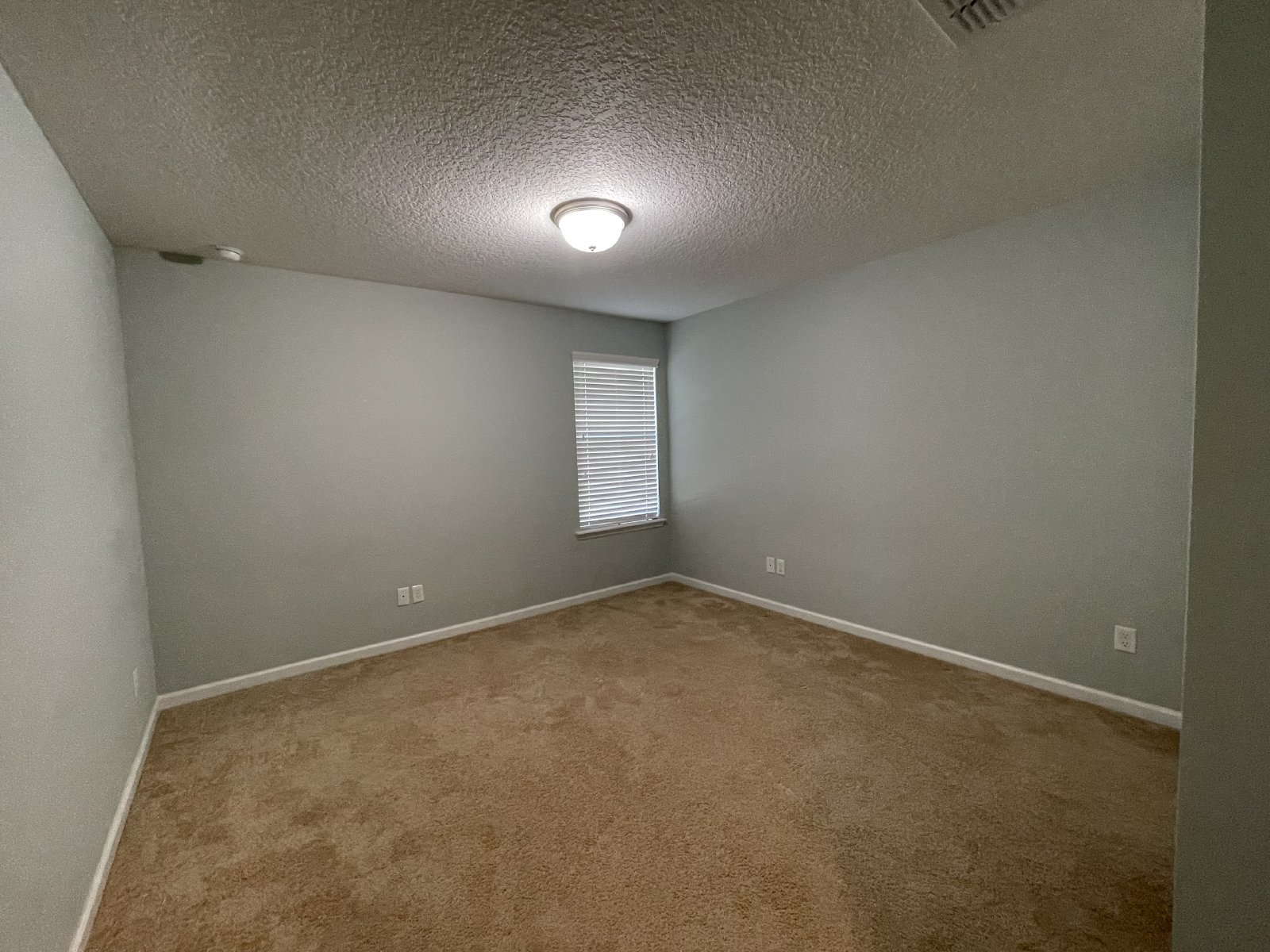 Executive Home in St Johns property image