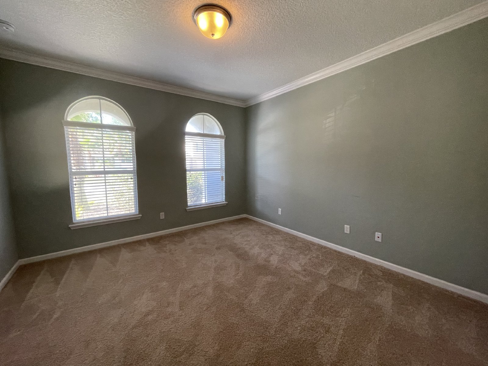 Executive Home in St Johns property image