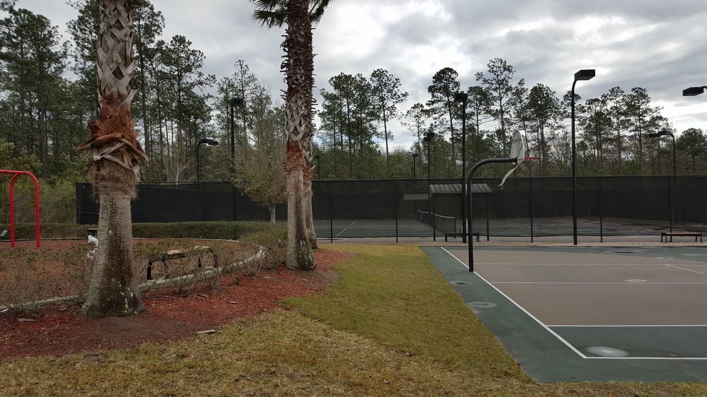 3971 White Pelican Way, 32068 property image