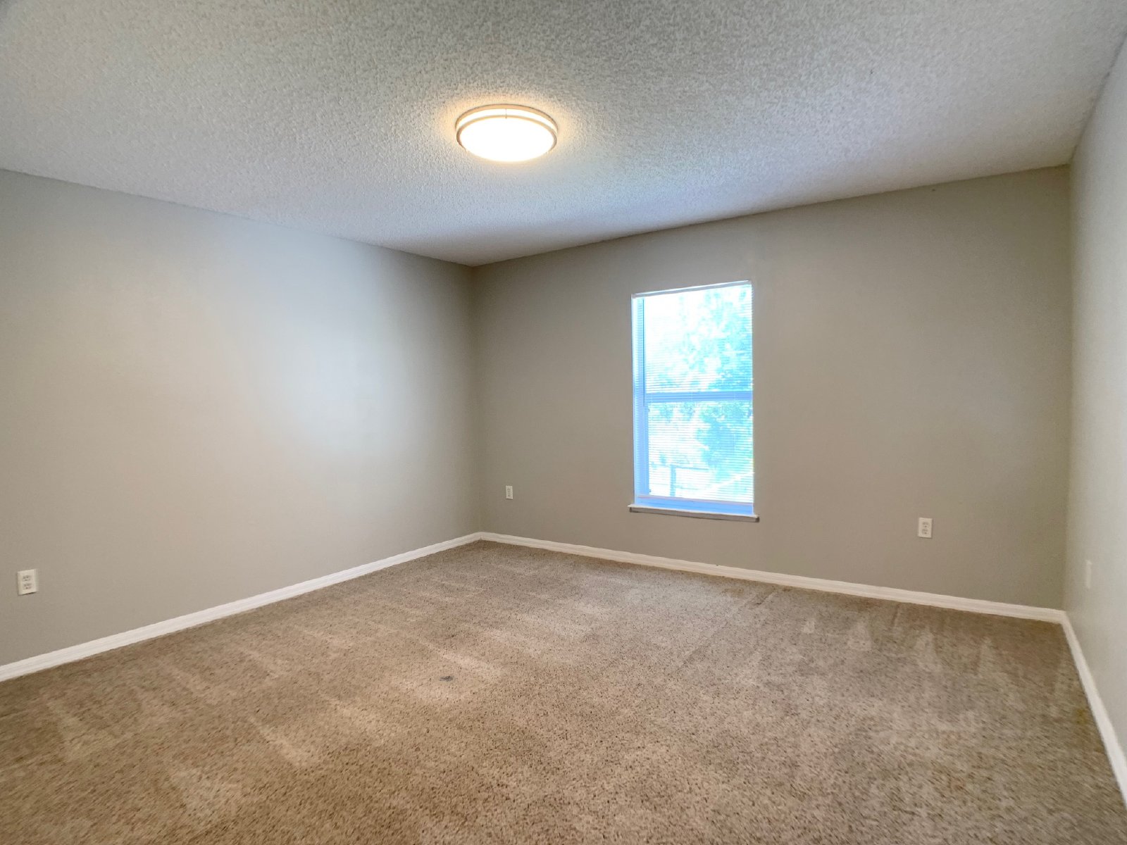 Spacious 4-Bedroom Rental in Prime Location Near Collins Rd & I-295! property image