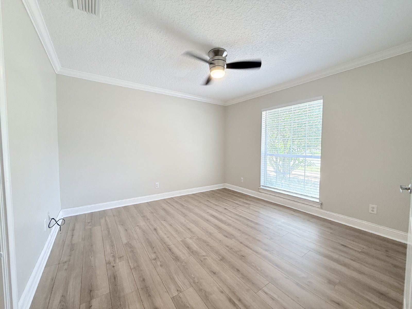 Large Open Concept House with Tons of Natural Light property image