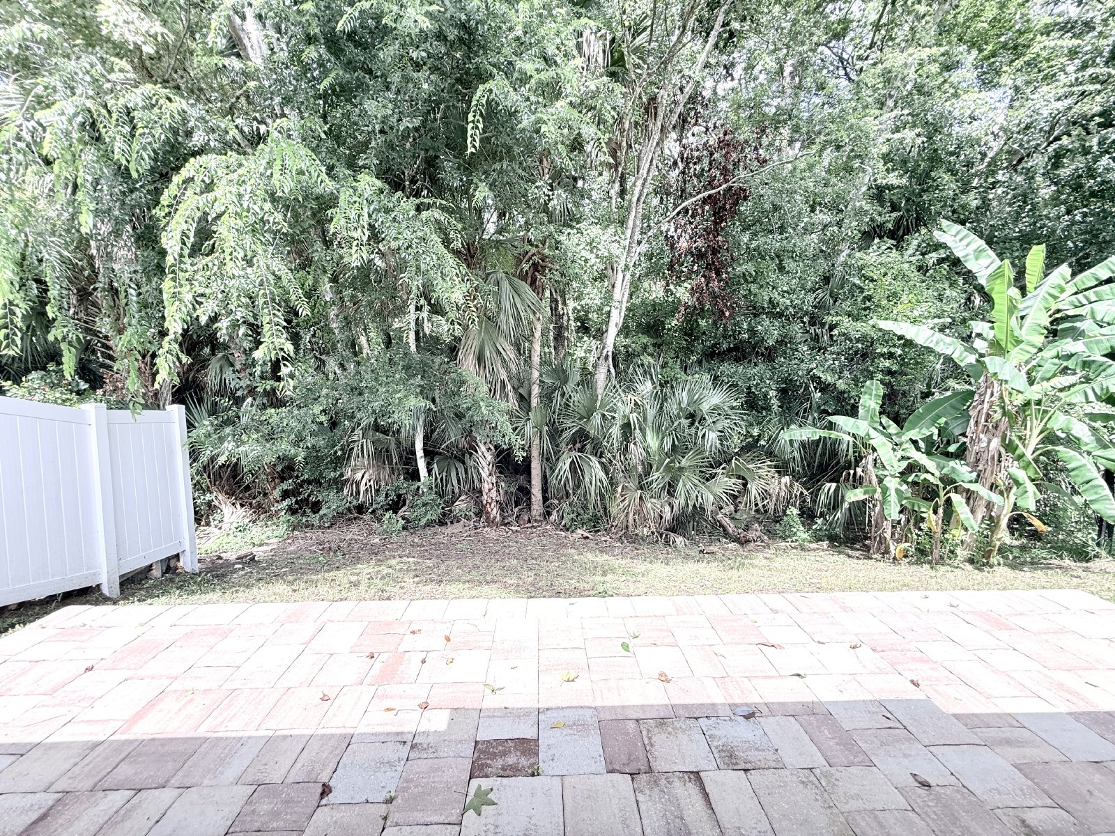 Beautiful 3BR Home in the Heart of Southside Jacksonville property image