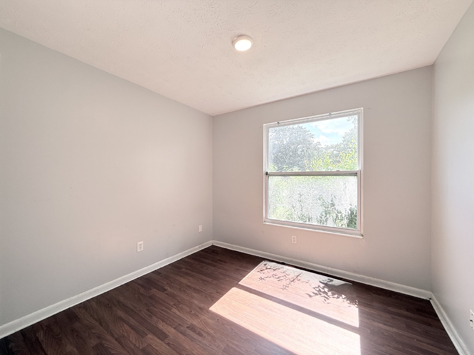 Spacious Living, Modern Updates & Fully Fenced Yard property image