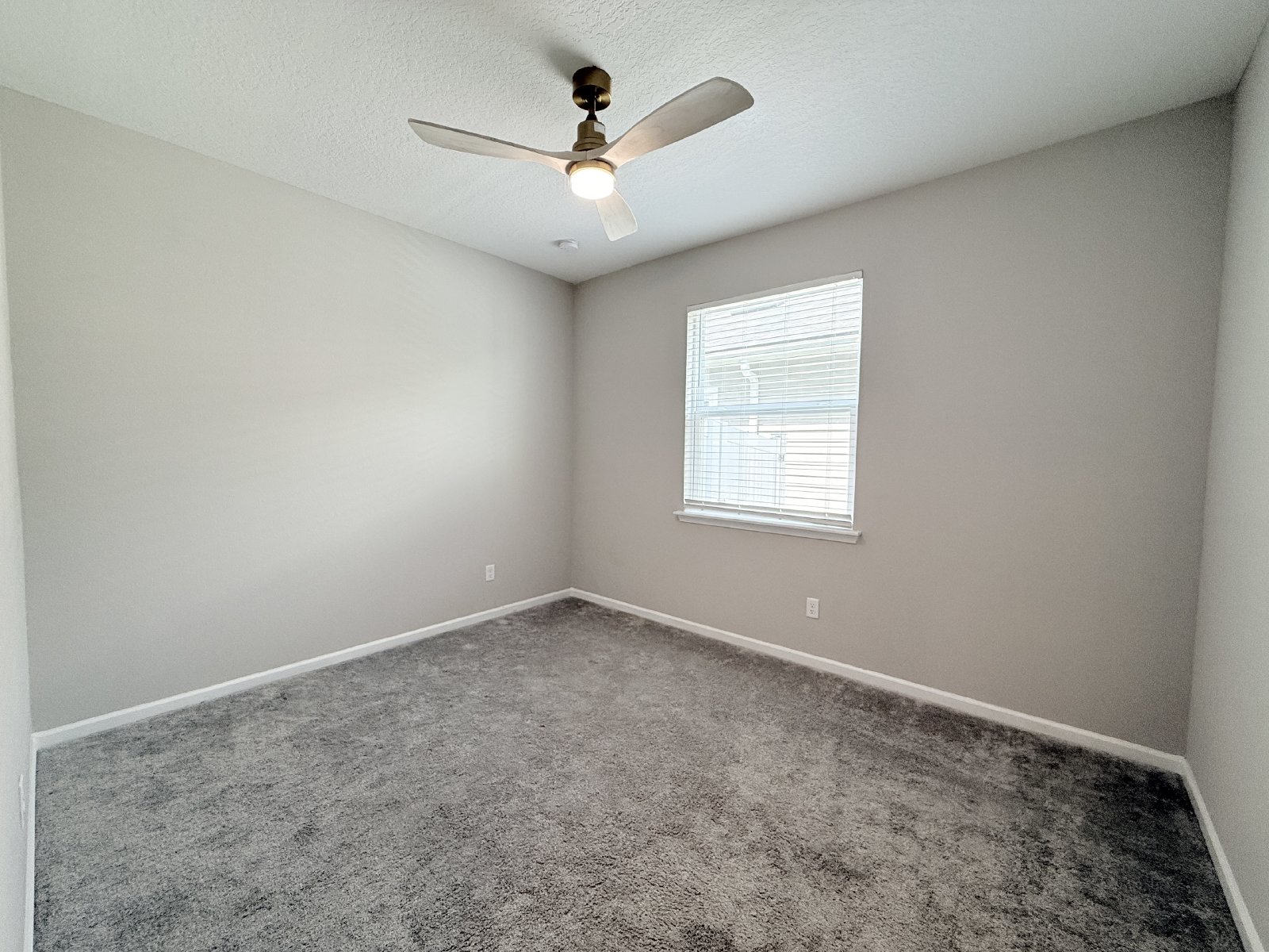 Bright & Spacious 4BR Home with Screened Porch & Paver Patio property image