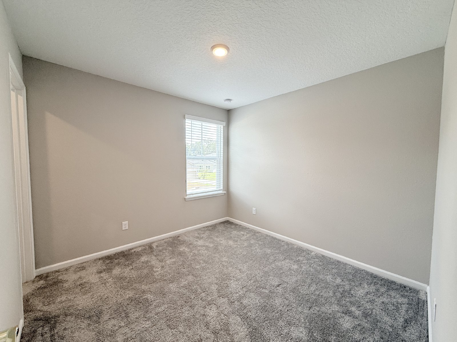 Bright & Spacious 4BR Home with Screened Porch & Paver Patio property image