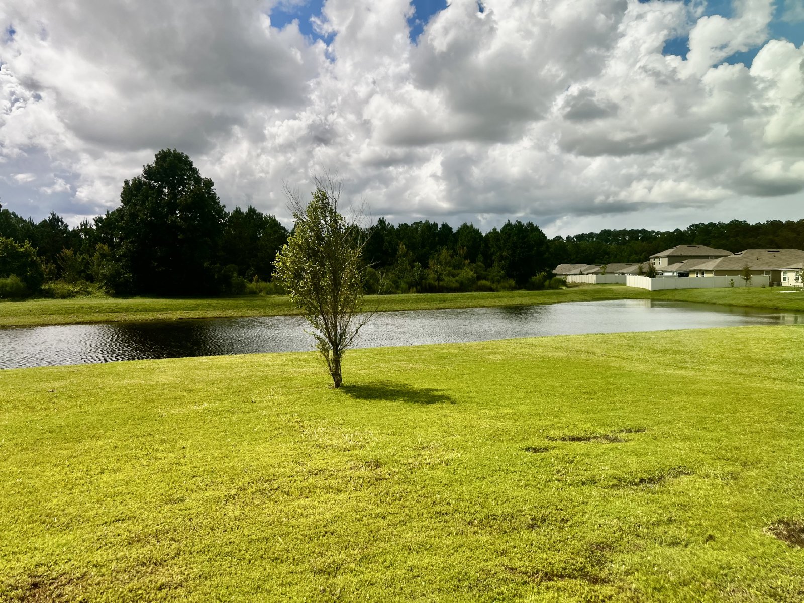 Large almost new 5-bedroom home in the Arbors property image