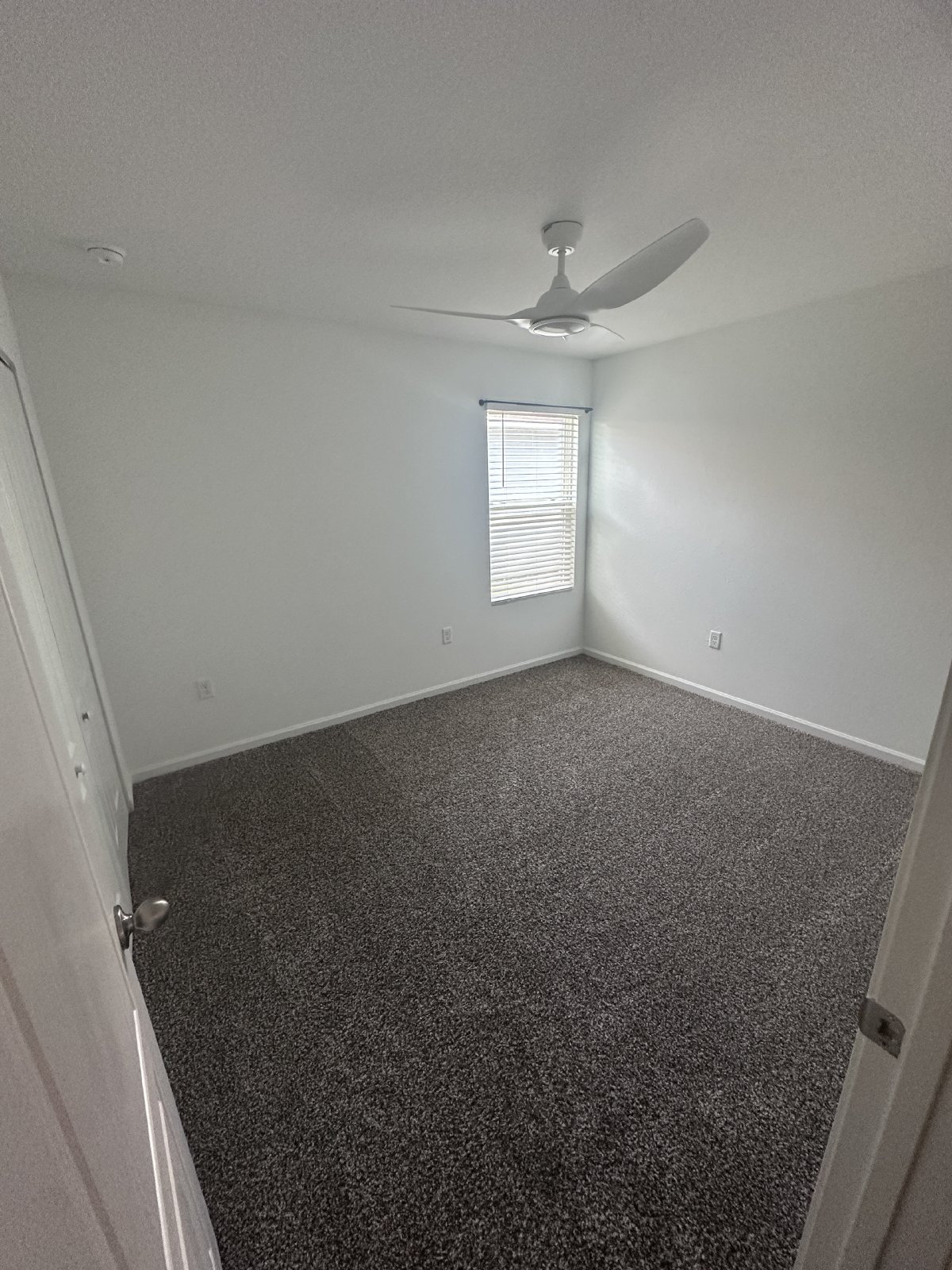 Almost-New 3 Bedroom Rental with Stunning Pond Views in The Arbors! property image