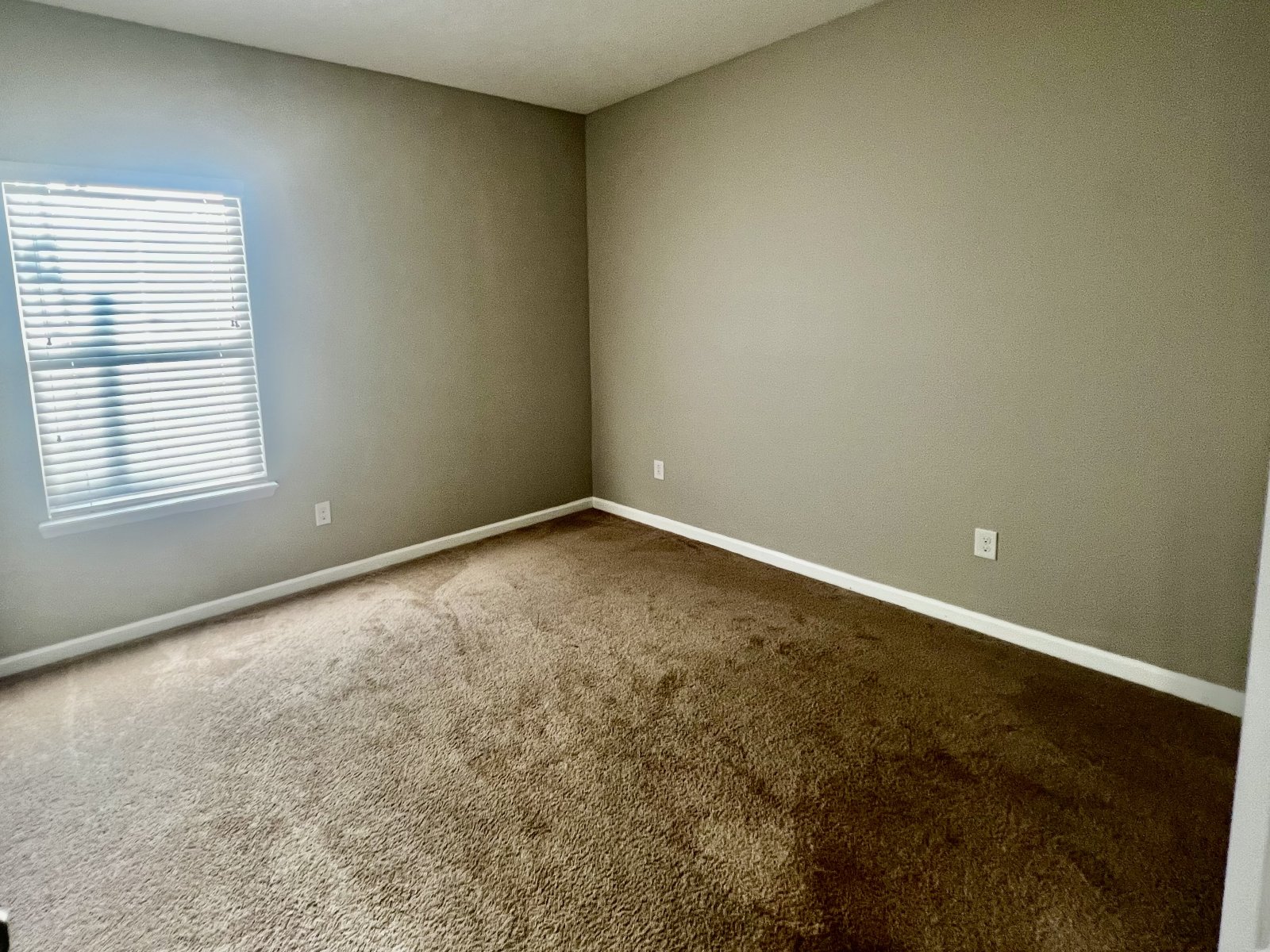 Large 4 bedrooms in Yellow Bluff Estates with bonus room property image