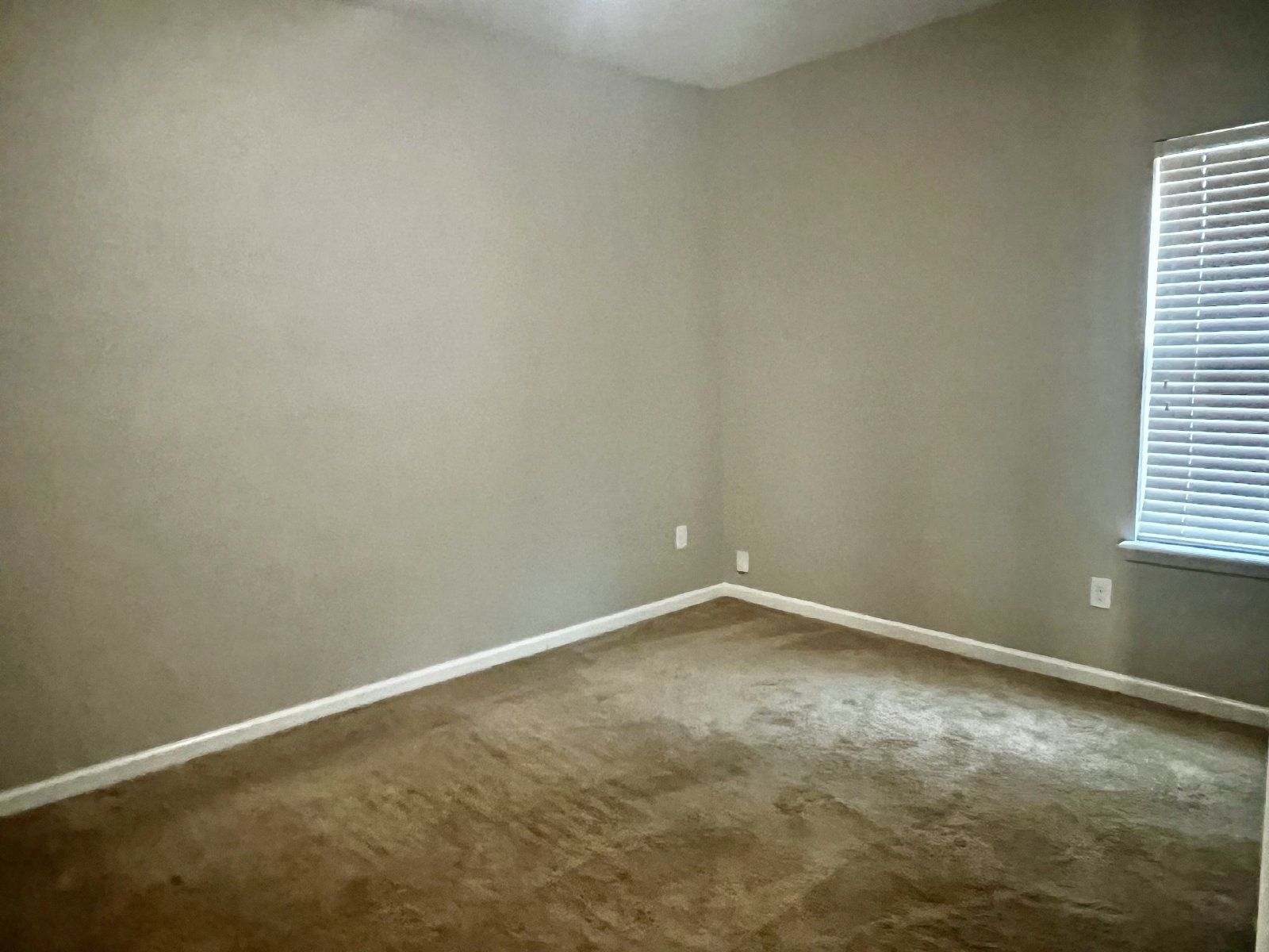 Large 4 bedrooms in Yellow Bluff Estates with bonus room property image