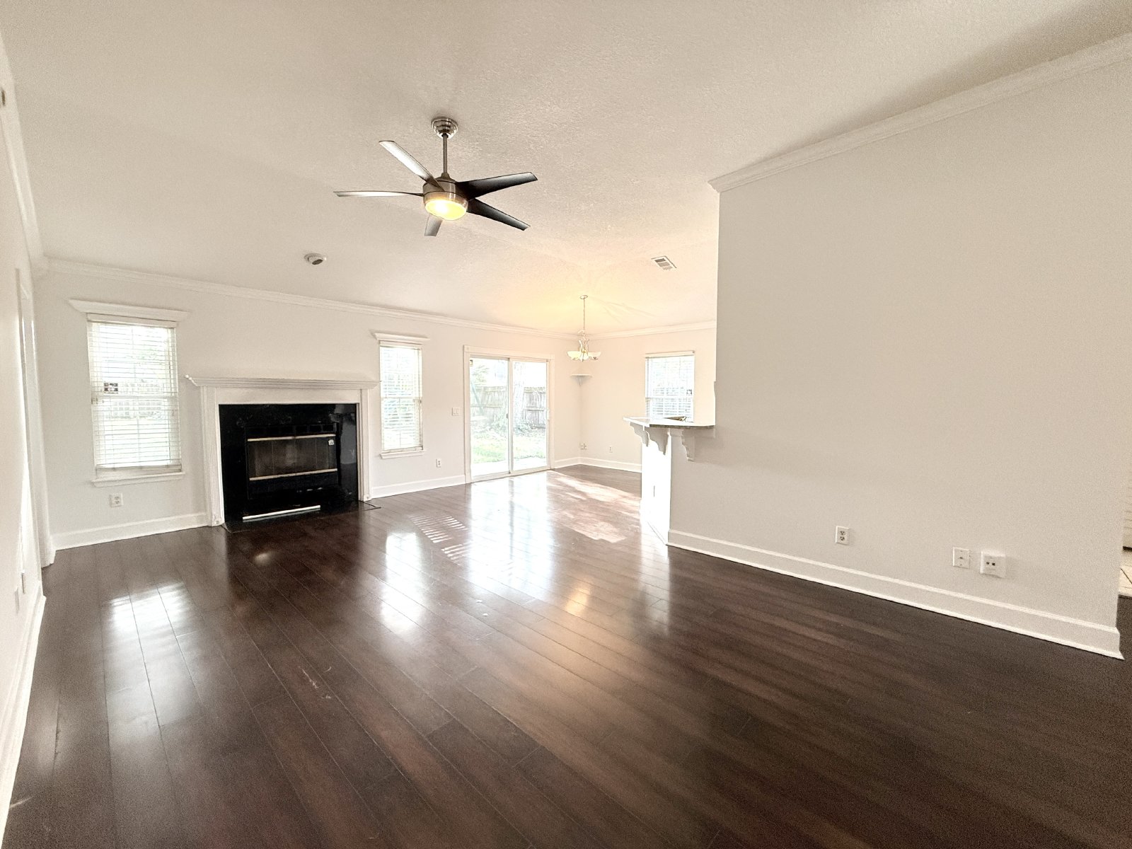 Freshly Updated 4BR with Huge Fenced Backyard property image