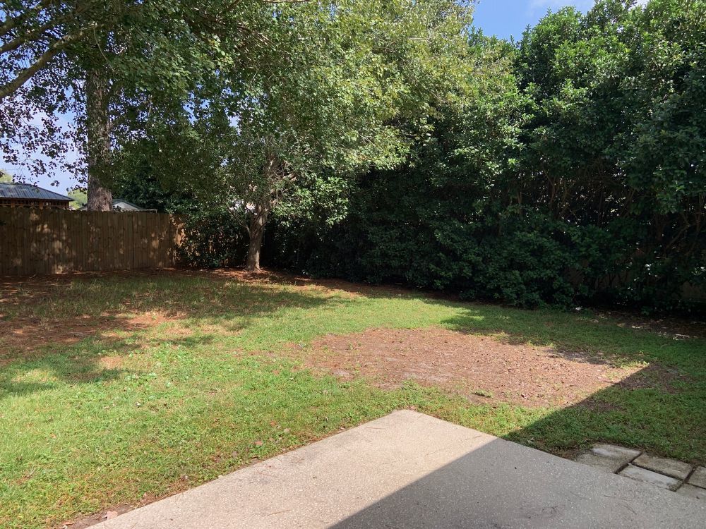 Private and Quaint Middleburg Home! property image