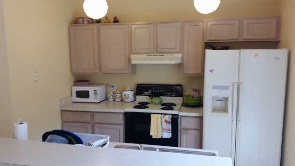 Single story 3 bed 2 bath in Arlington property image
